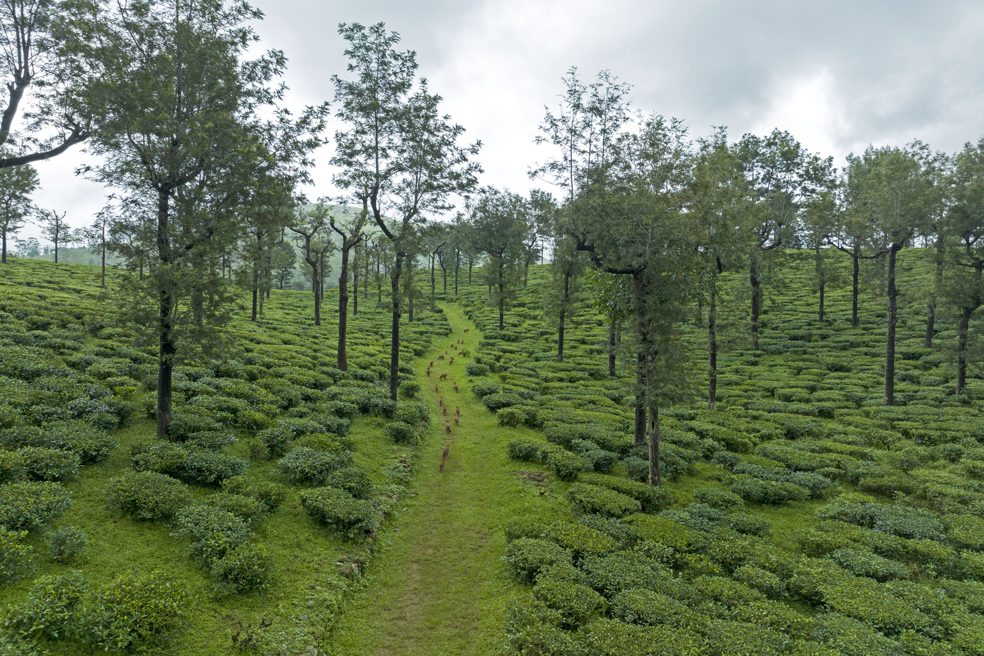 naturescape-2024
